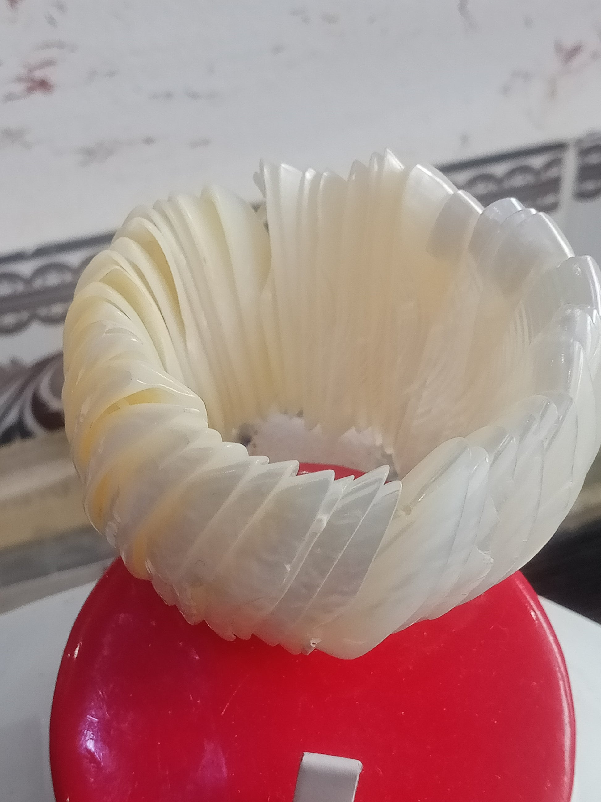 سوار من صدف بحري طبيعي