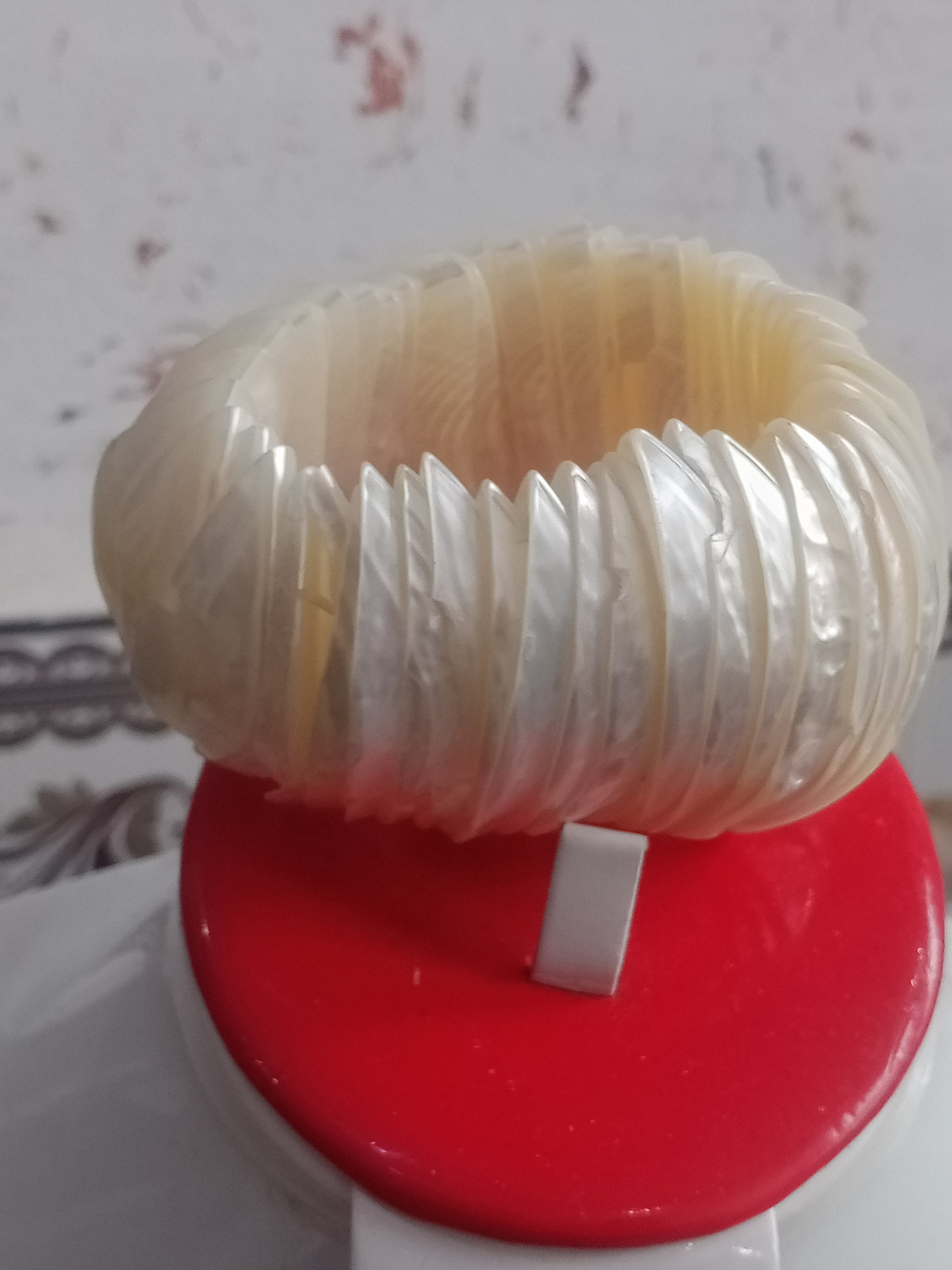 سوار من صدف بحري طبيعي