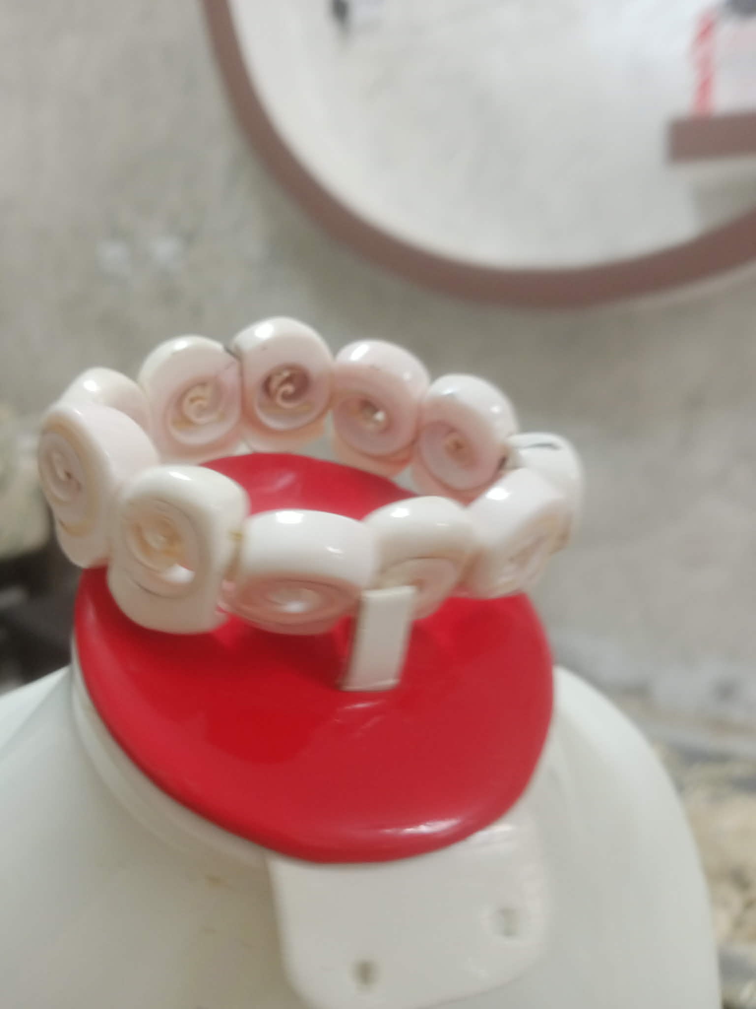 سوار من صدف بحري طبيعي