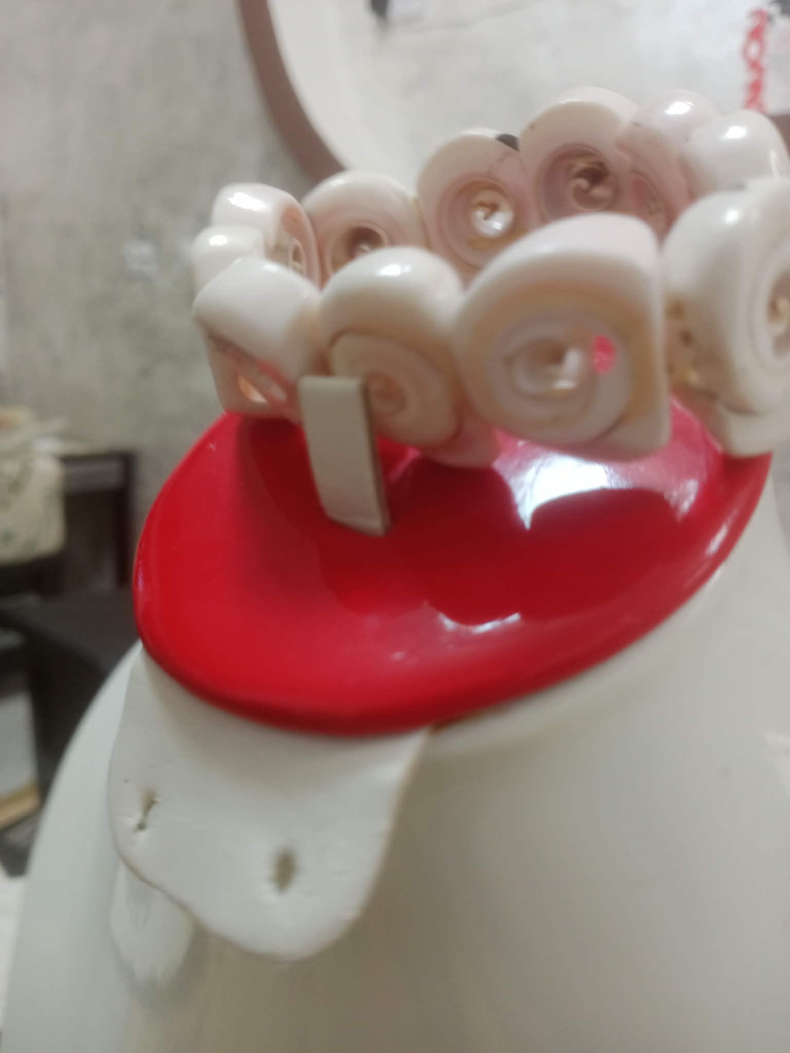 سوار من صدف بحري طبيعي