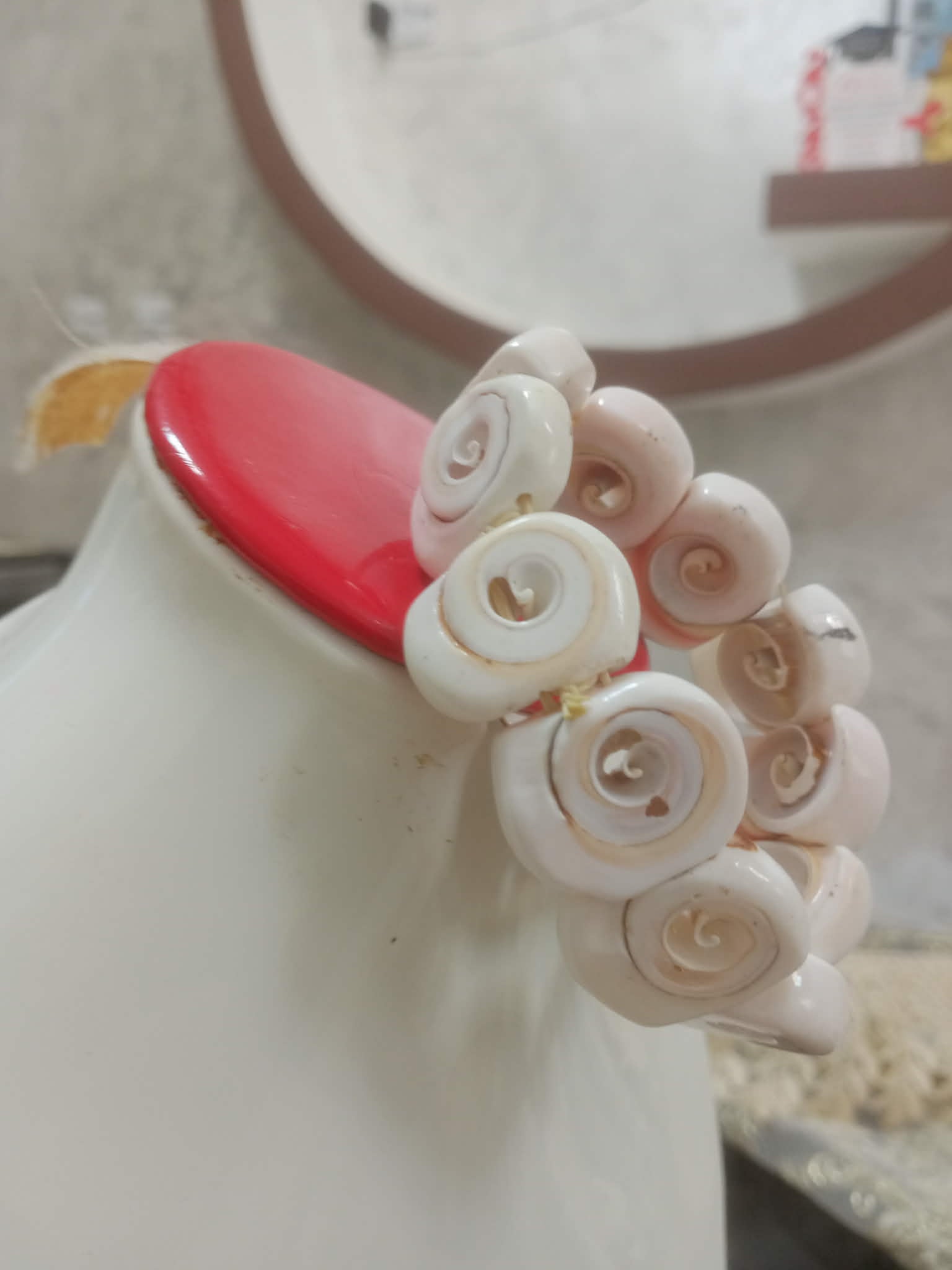 سوار من صدف بحري طبيعي