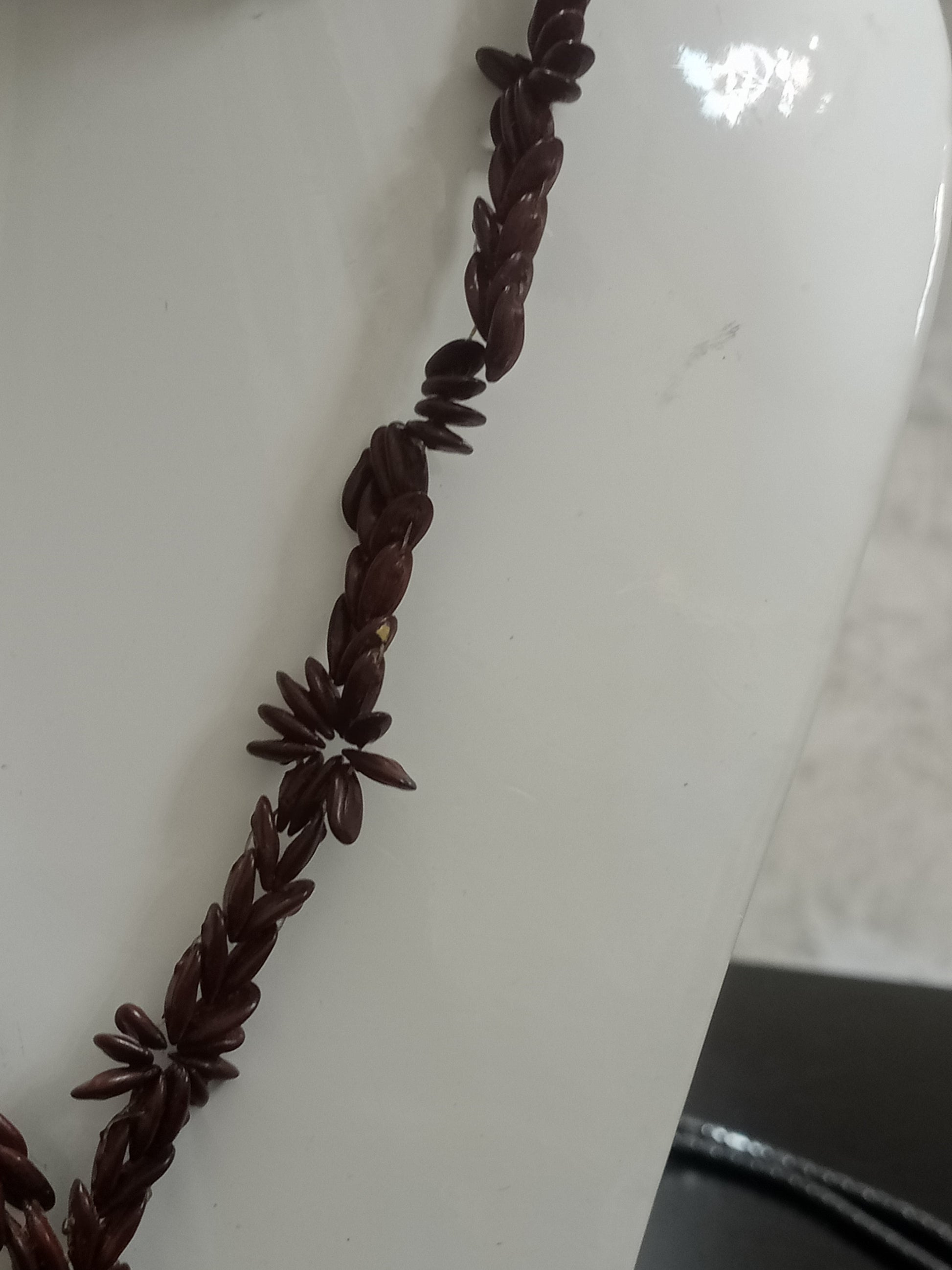 عقد قديم من بذور
