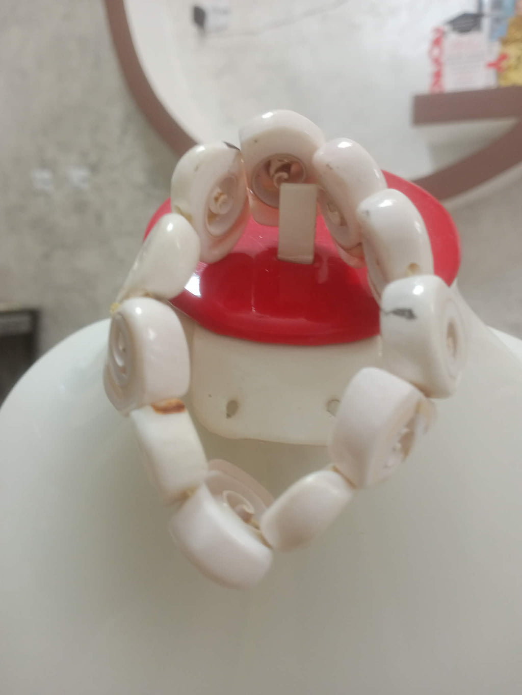 سوار من صدف بحري طبيعي