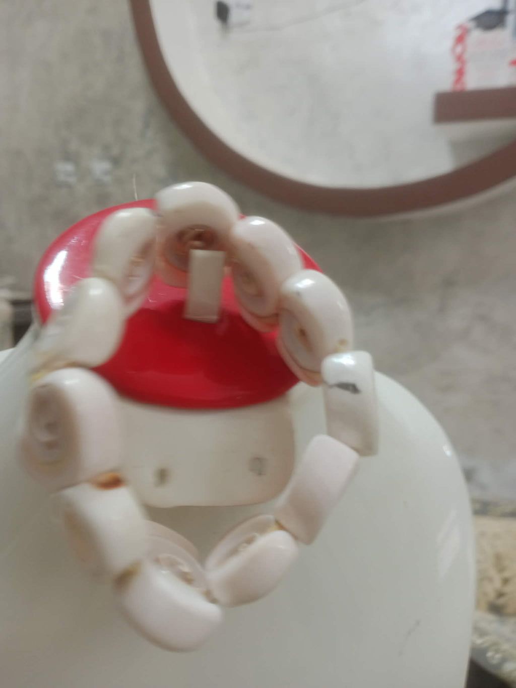 سوار من صدف بحري طبيعي