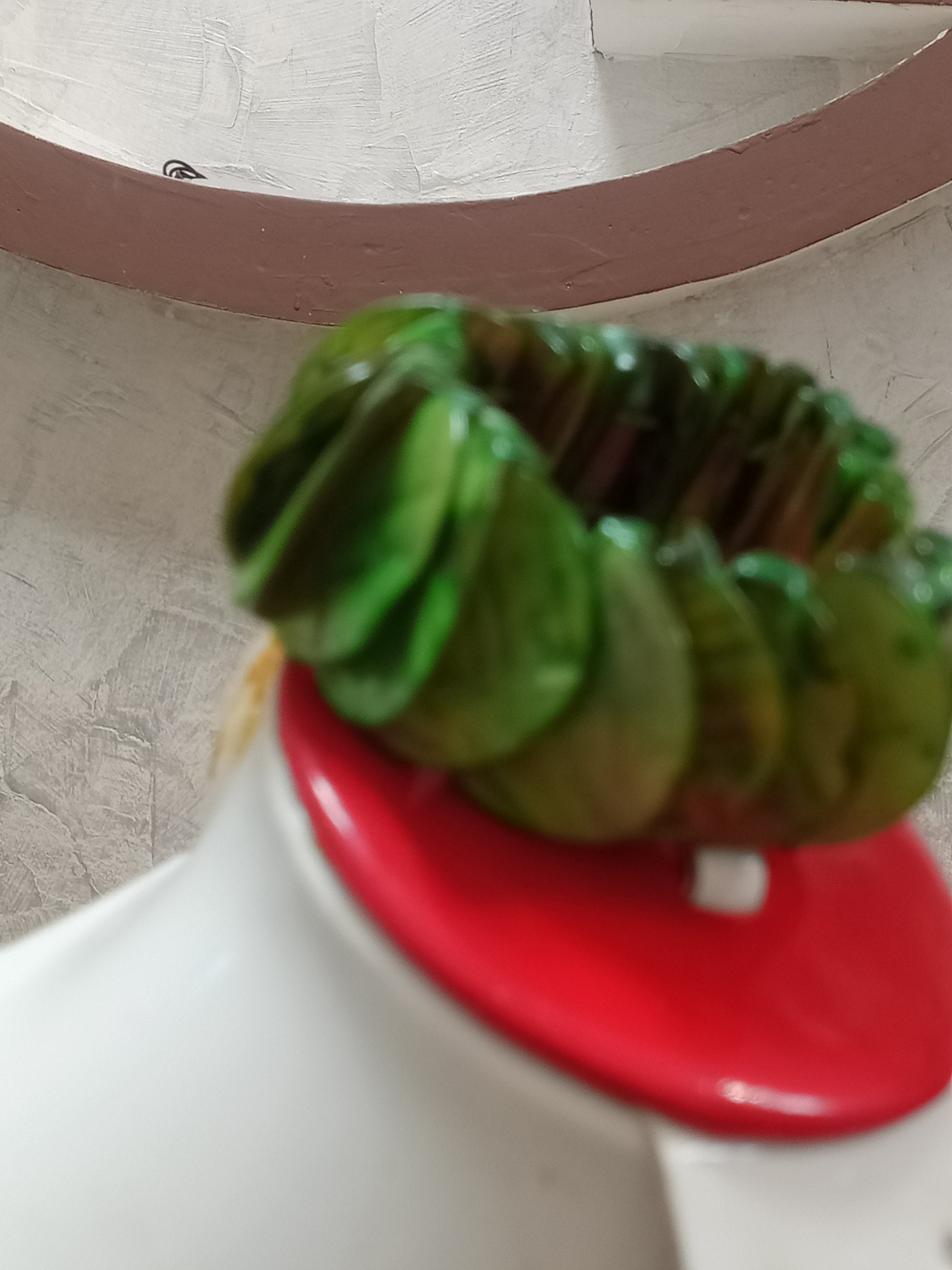 سوار من صدف بحري