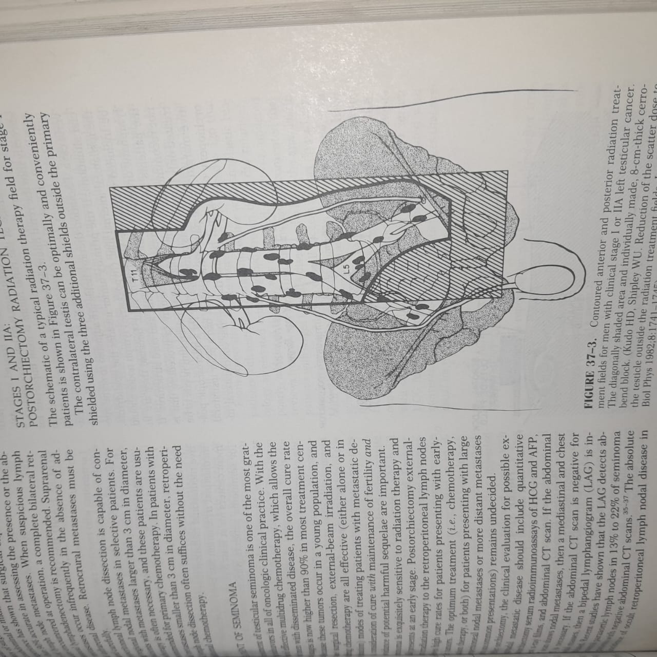موسوعة Cancer: Principles & Practice of Oncology – الإصدار الرابع (جزآن كاملان)
