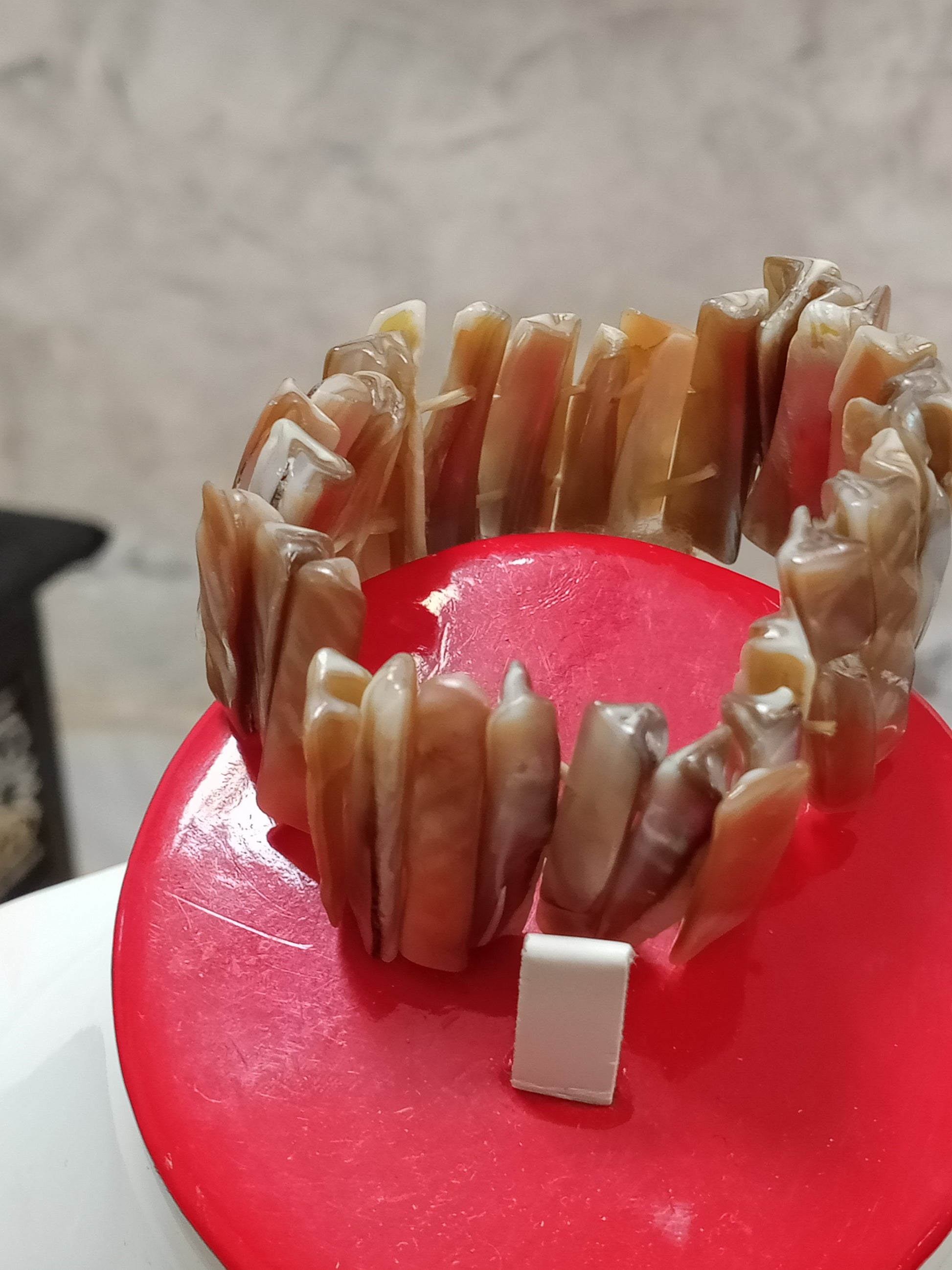 سوار من صدف طبيعي